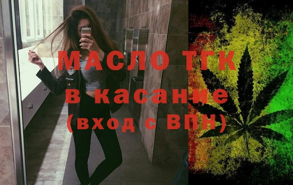 шишки Гусев