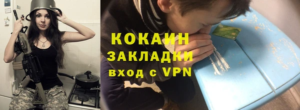 шишки Гусев
