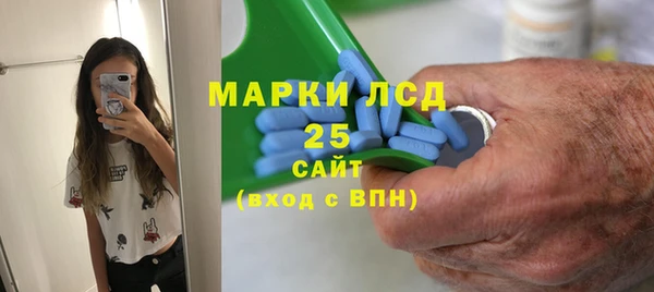 шишки Гусев