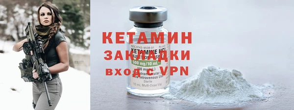 шишки Гусев