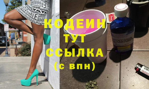 шишки Гусев