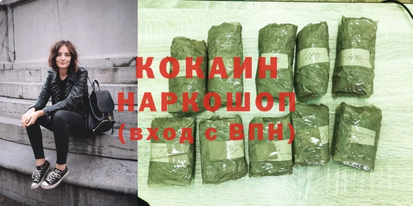 шишки Гусев