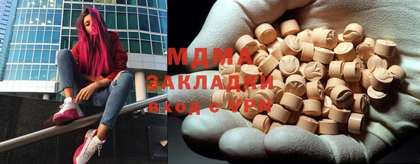 шишки Гусев