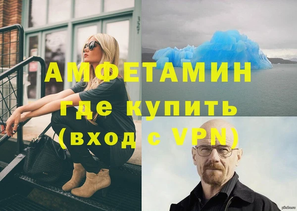 шишки Гусев