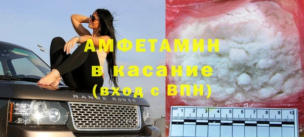шишки Гусев