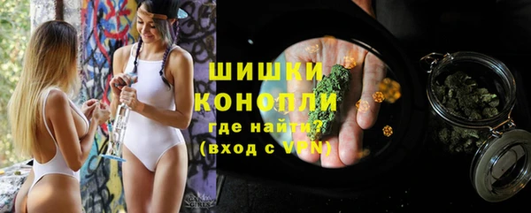 шишки Гусев