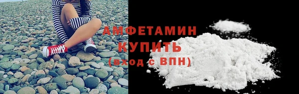 шишки Гусев